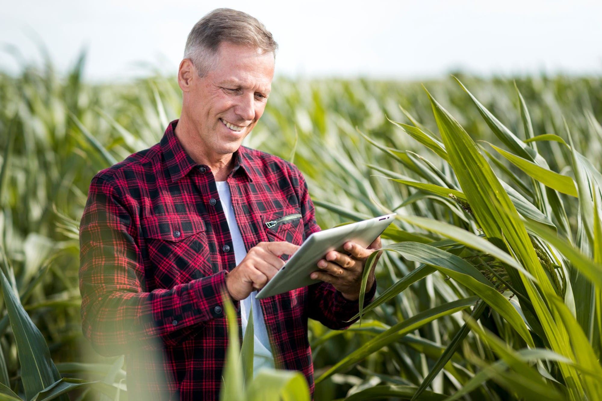 Passos para fazer o planejamento financeiro para empresas do Agronegócio