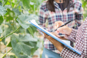 Revisão fiscal no setor agrícola como otimizar tributos e evitar penalidades em 2025