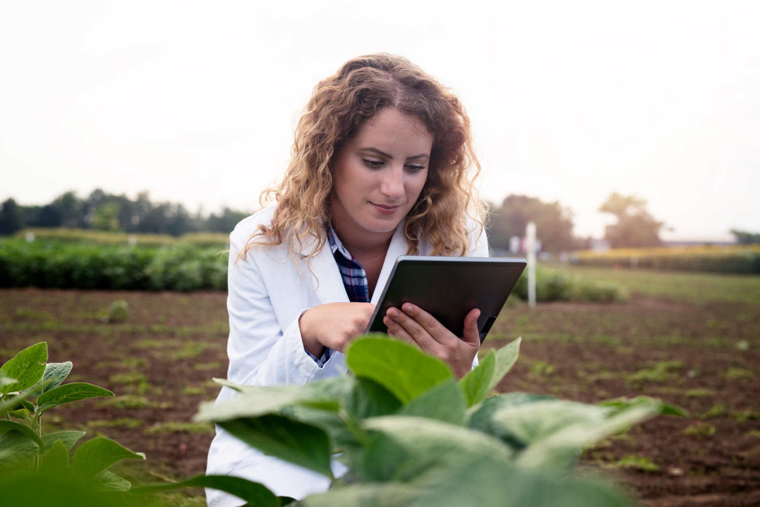 Gestão Tributária no Setor Agrícola Como Evitar Multas e Otimizar o Fluxo de Caixa