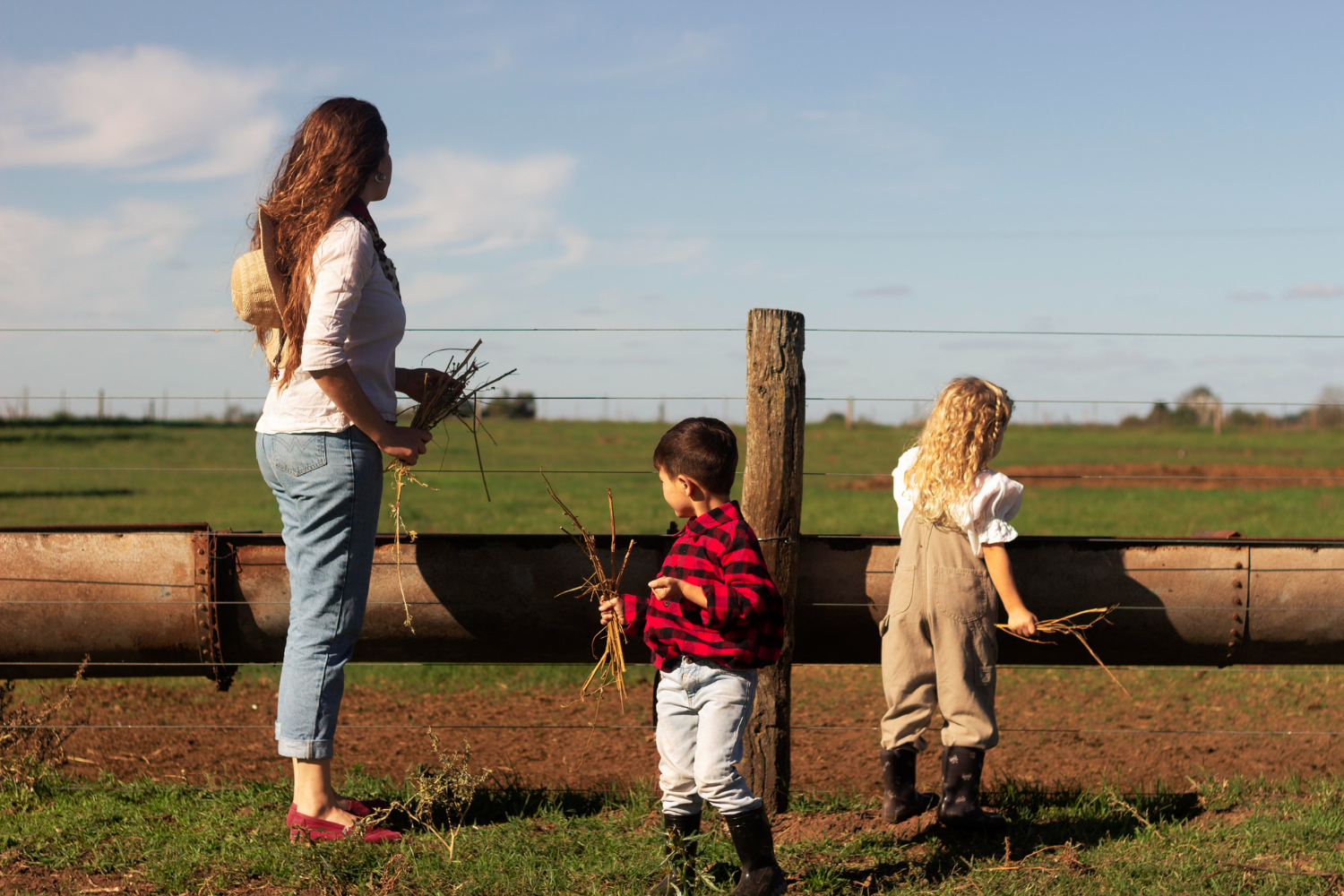 Planejamento tributário no agro familiar vale a pena investir