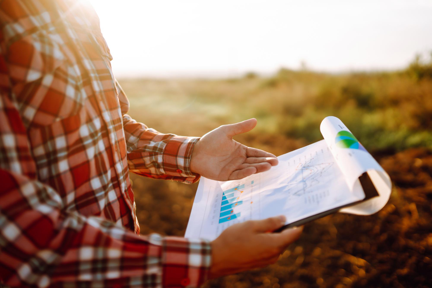 Gestão fiscal para agronegócio em Belo Horizonte no início de 2026