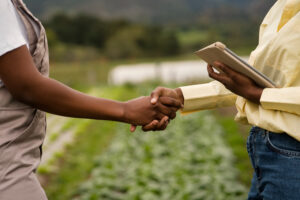 Holding rural em Minas Gerais quando vale a pena estruturar em 2026