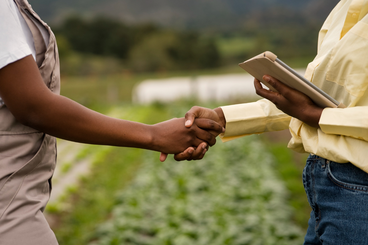 Holding rural em Minas Gerais quando vale a pena estruturar em 2026