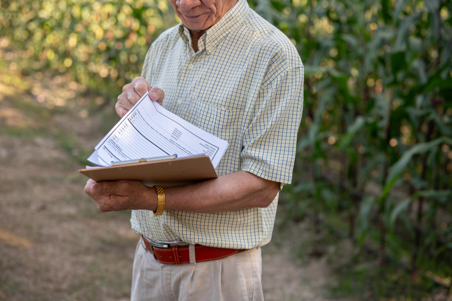 Produtor rural pessoa jurídica em Minas Gerais: vantagens fiscais em 2026