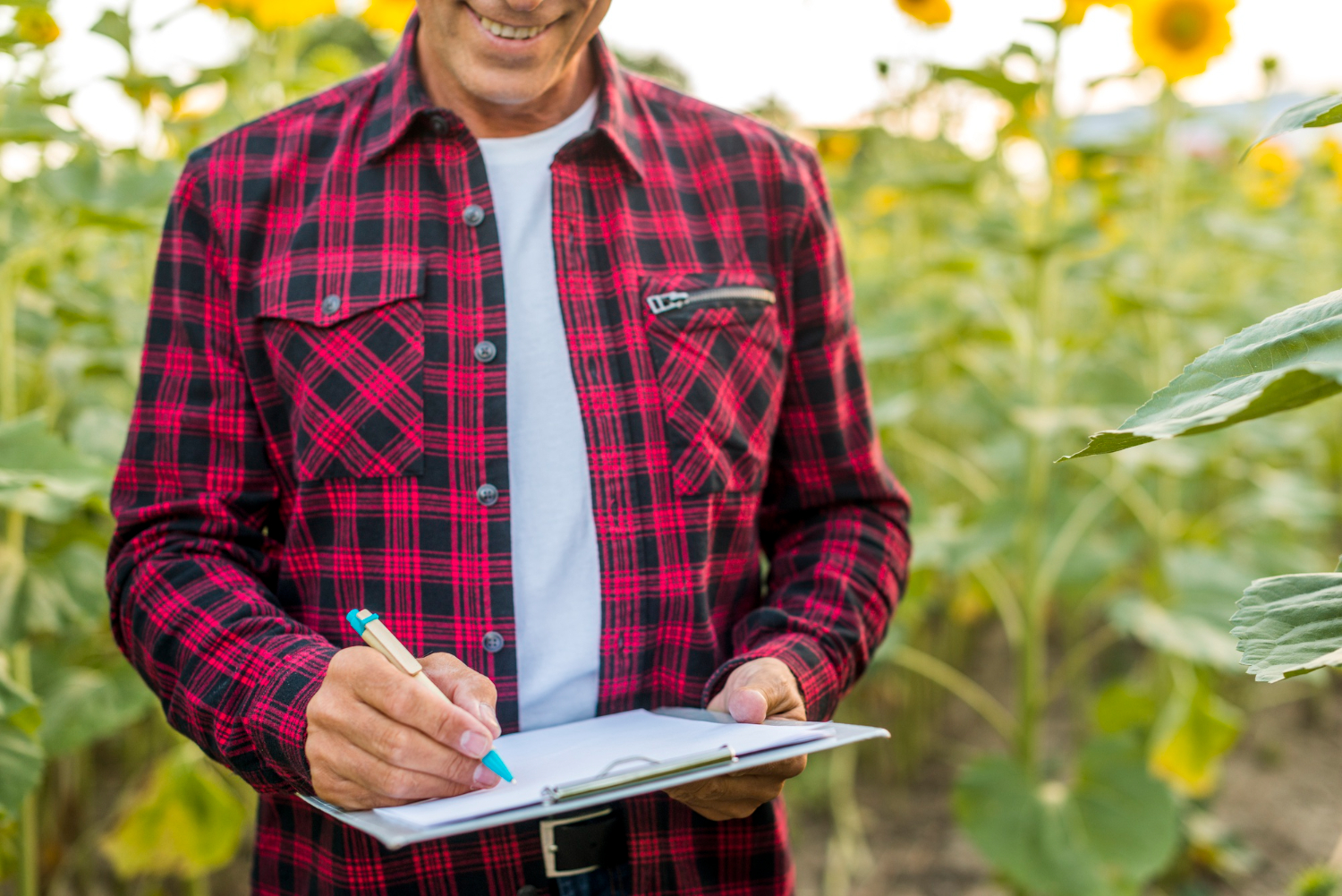 Como reduzir impostos no agronegócio com estratégia fiscal